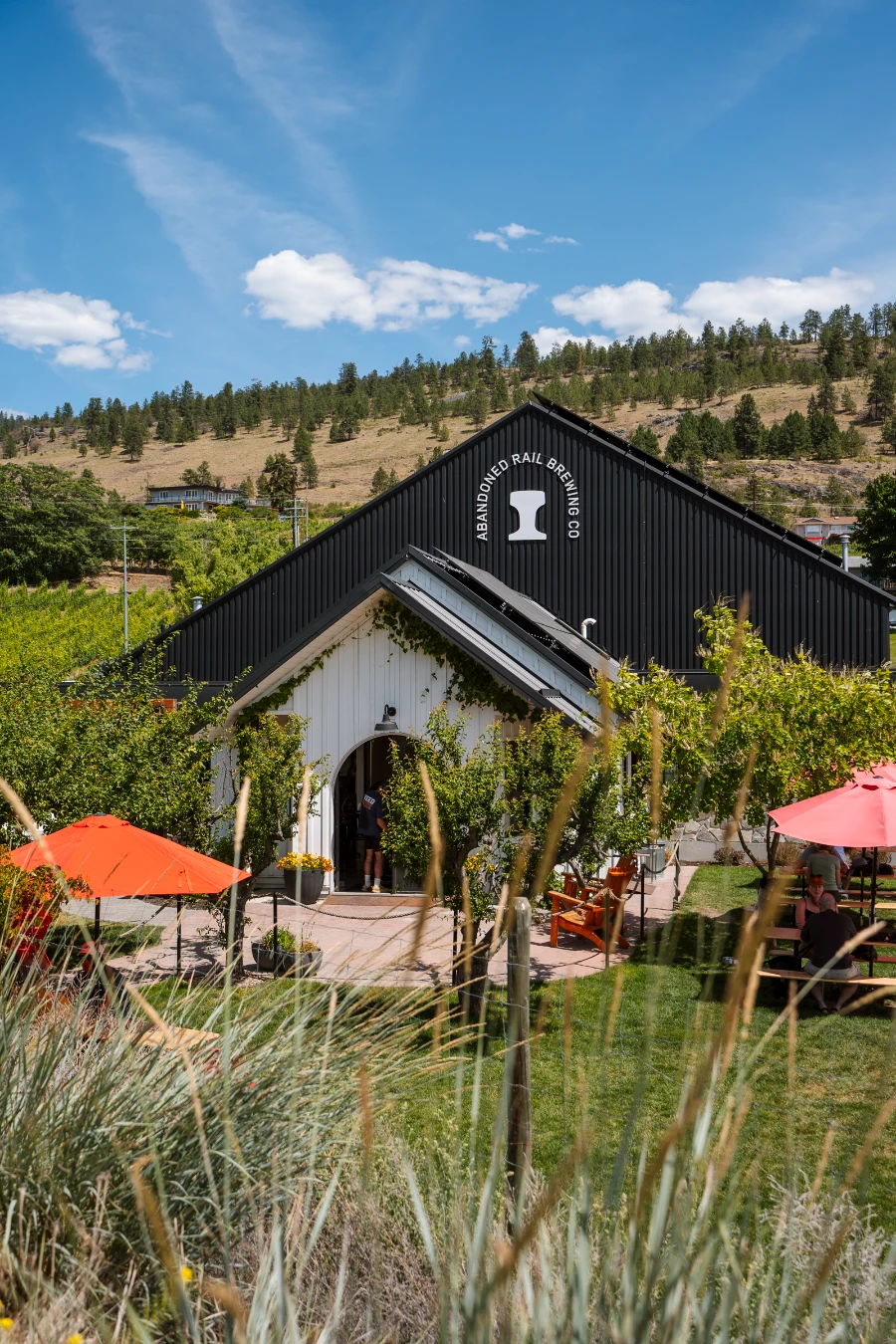 A grassy patio area with picnic tables, Muskoka chairs, and shade trees sits in front of an old farmhouse that has been converted into a modern brewery has a sign near the apex of the A-frame structure that reads ‘Abandoned Rail Brewing’