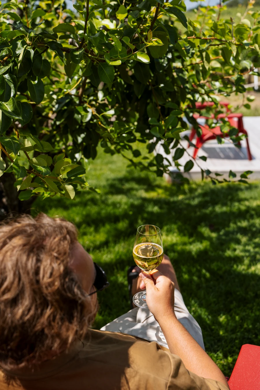 A man sitting in an orchard on a red Muskoka trail holding a glass of white wine at Joie’s Winery on the Naramata Bench