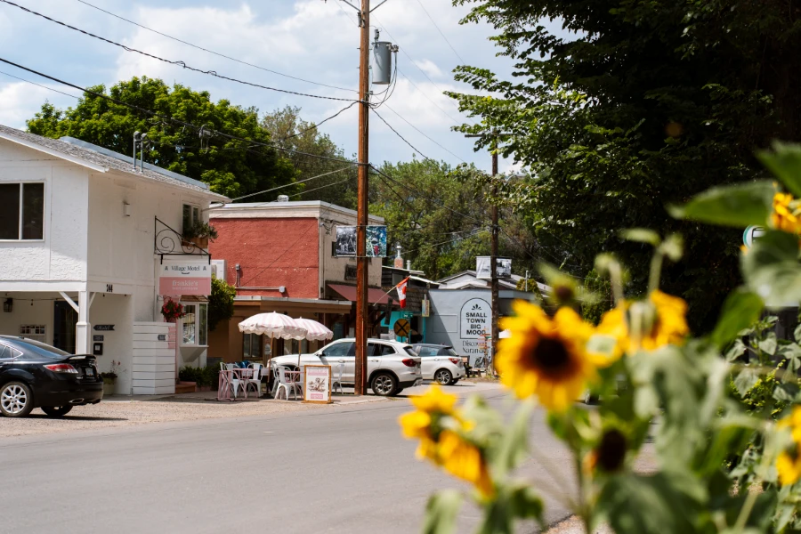 Sunflowers frame the corner, with an empty street running through the midground and a line of small shops across the street.