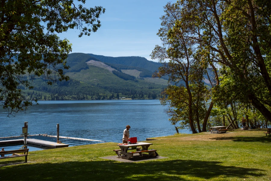 A man cooking on a small red camp stove set up on a picnic table in a grassy park on the edge of Cowichan Lake