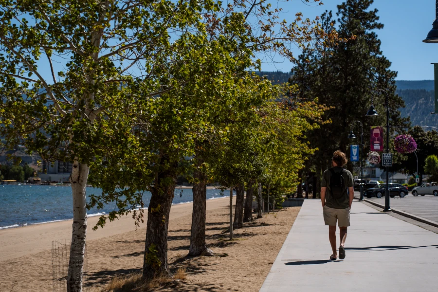 A man walking along a wide cement sidewalk looking to his left at a line of trees along a sandy beach in downtown Penticton