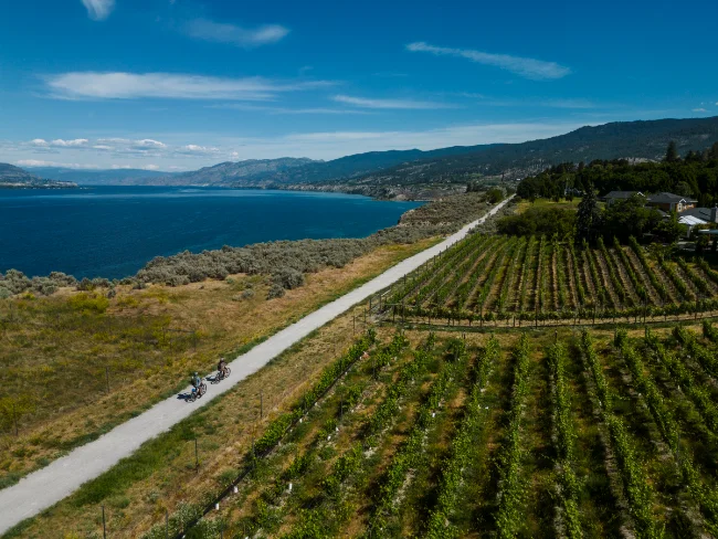 Two cyclists ride along a wide flat gravel path with rows of vineyards to the right and the deep blue of Okanagan Lake at the end of a steep hill to the left.