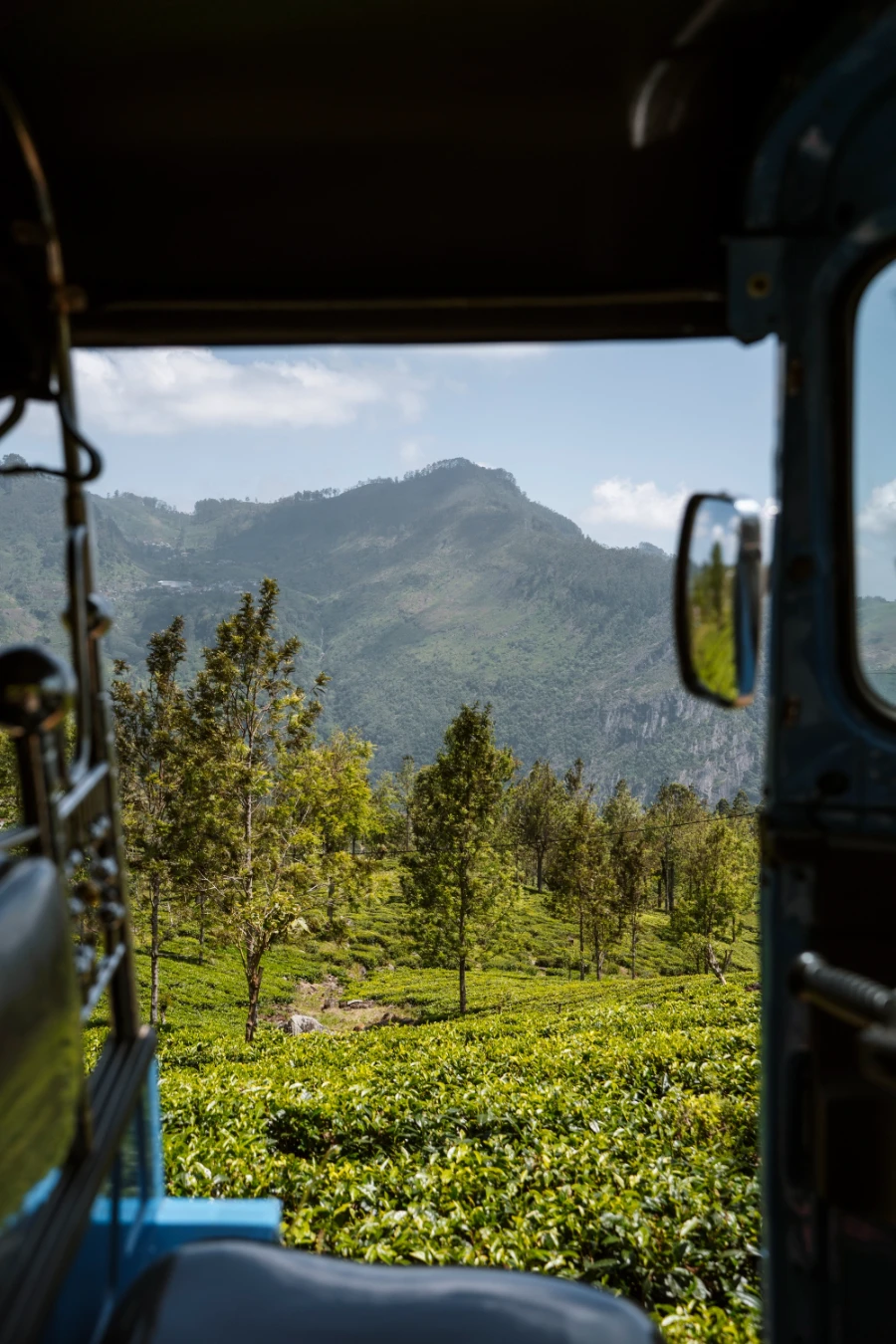 A sea of tea fields framed through the tuktuk window