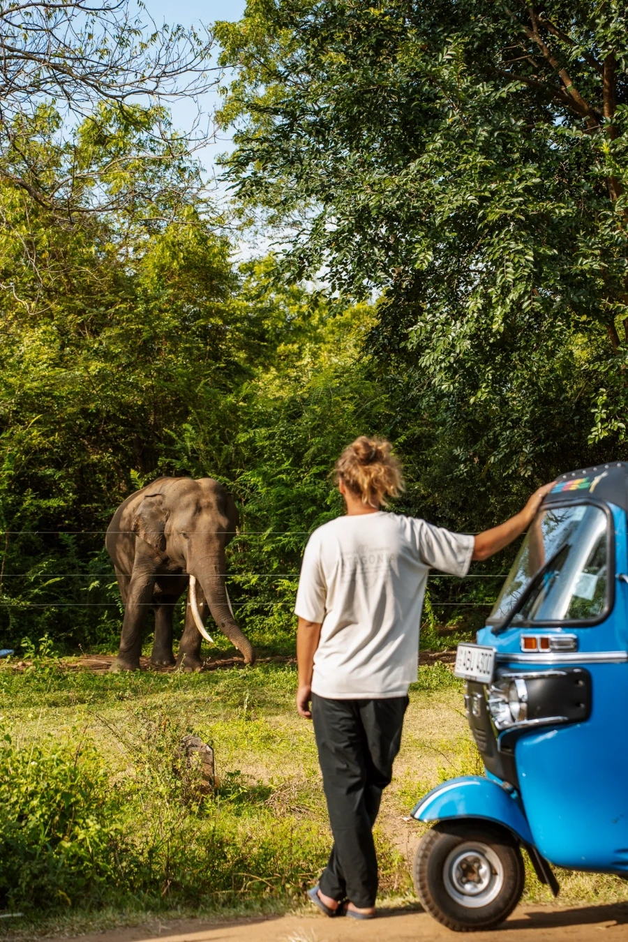 A man leaning on a blue tuktuk while looking at a large elephant standing nearby behind an electric fence