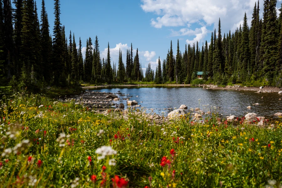 Image related to revelstoke things to do