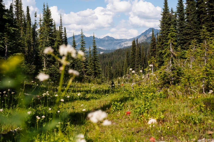 Image related to revelstoke things to do