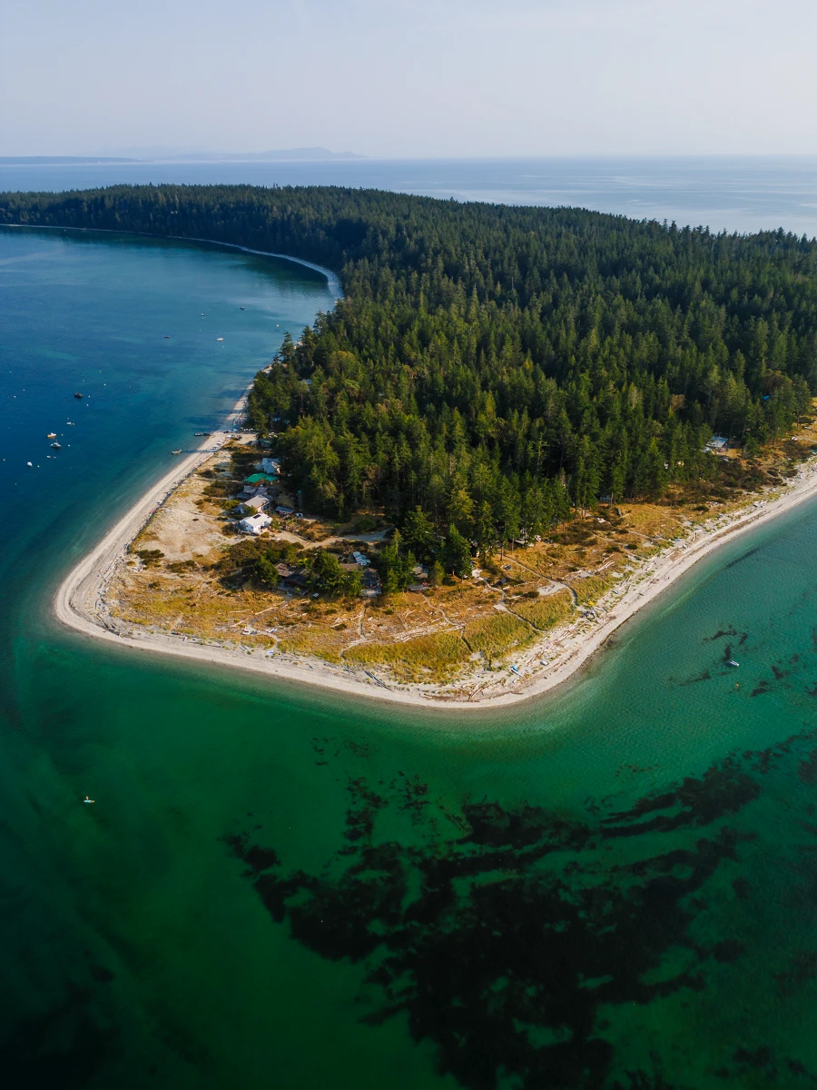 Image related to savary vs thormanby