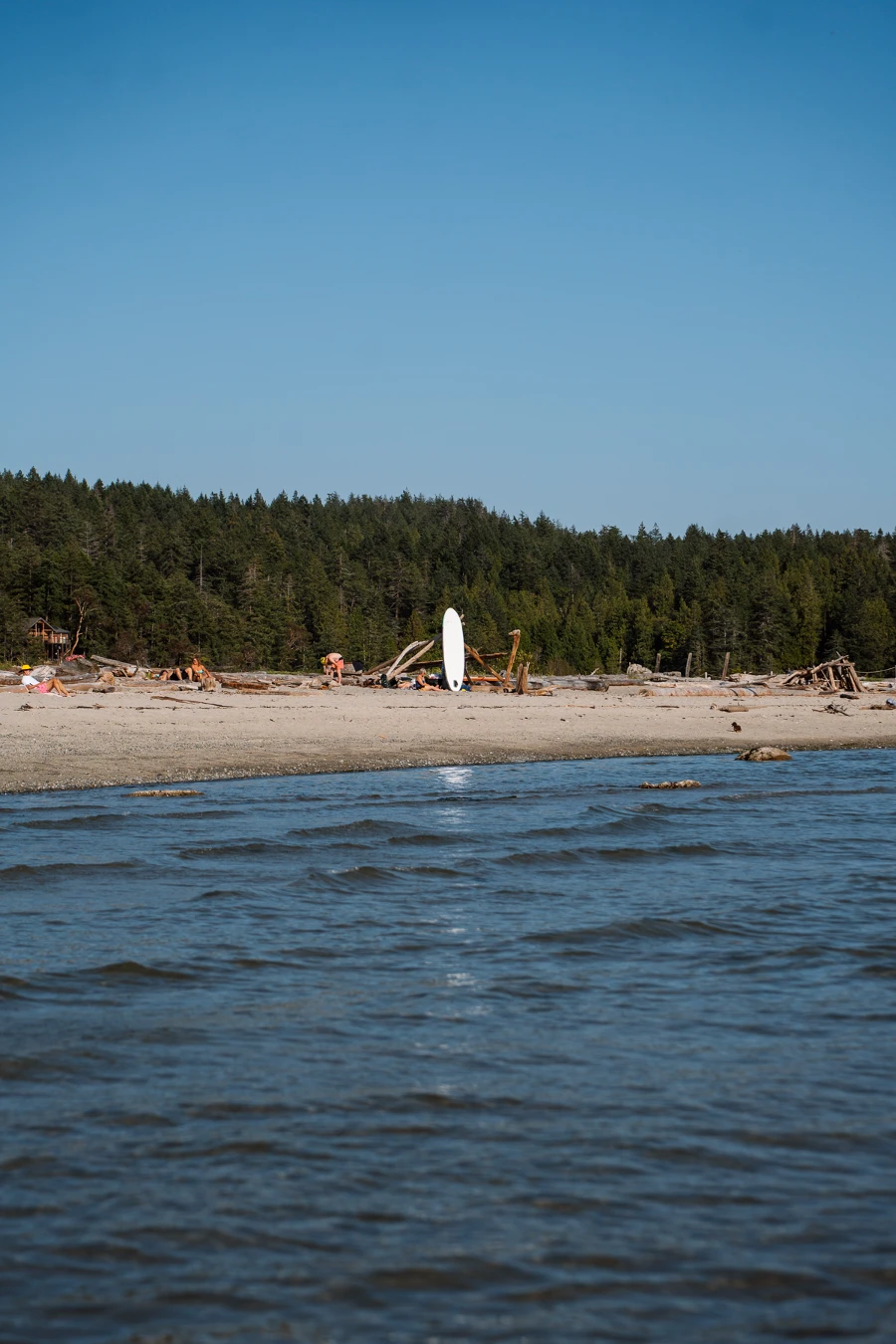Thormanby vs Savary Island: glistening water