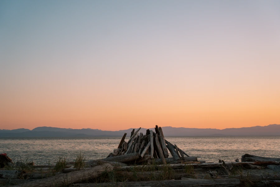 Thormanby vs Savary Island: Driftwood sculpture