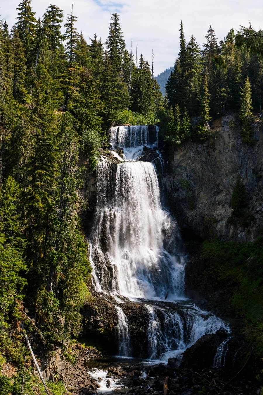 Water pouring over several large drops that make up Alexander Falls, surrounded on one side by a thick forest of trees and on the other by a bare cliff face