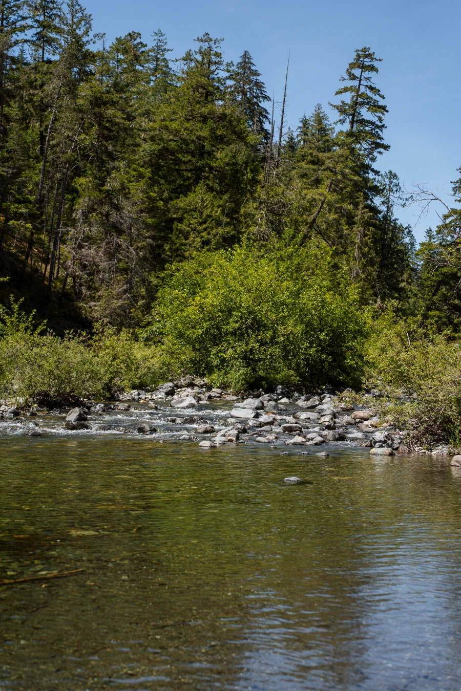A pebble beach next to a shallow river in Sooke Potholes Provincial Park