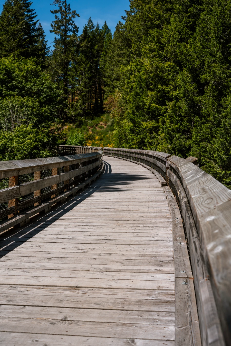 A long flat wooden bridge on top of trestle curves over to the left