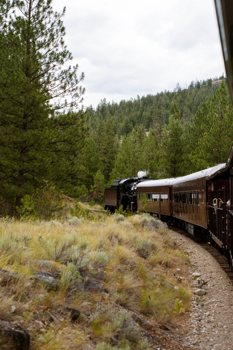 A black steam train engine leads several open-air passenger cars around a bend in the track, passing a stretch of scraggly shrubs that grow next to the railway