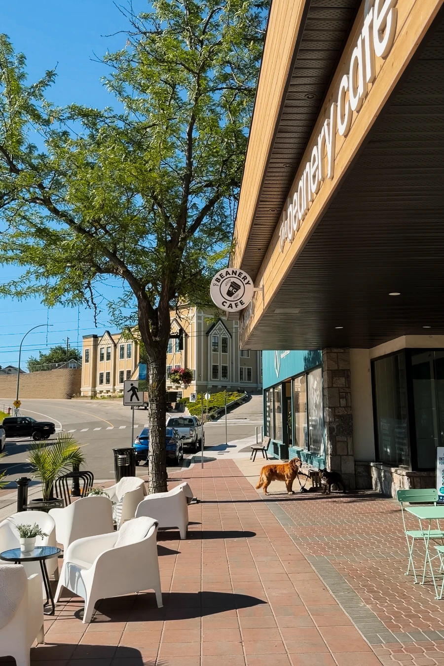Patio furniture set up on the sidewalk outside of the Beanery Cafe in Summerland and a dog tied up next to a water bowl