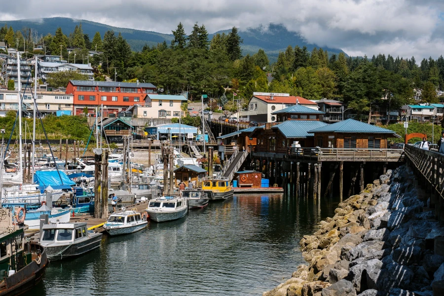 Dozens of eclectic boats moored along the dock in Gibsons and large building built up along the hill
