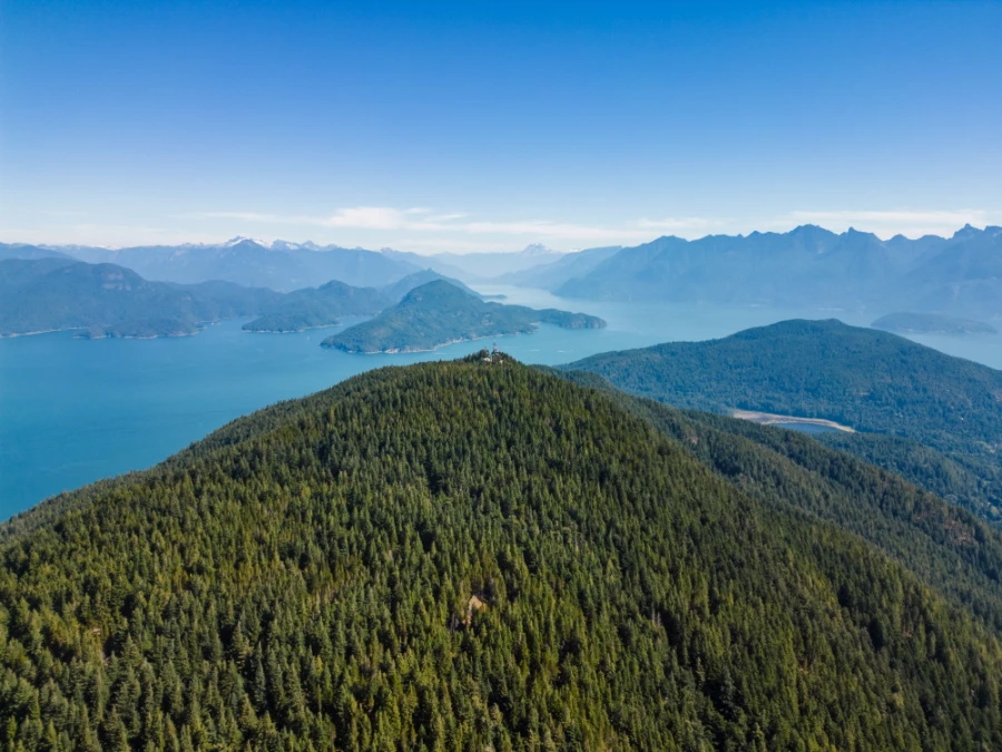 Thousands of trees leading up to Mount Gardner peak with the North Shore mountains and the Howe Sound in the background