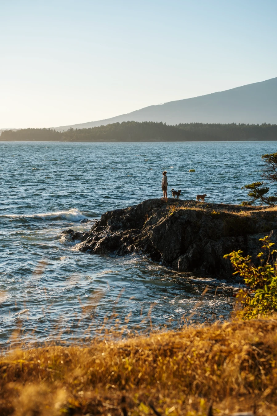 A man stands on a rocky outcrop with two dogs while the sea around him glows orange in the sunset light.