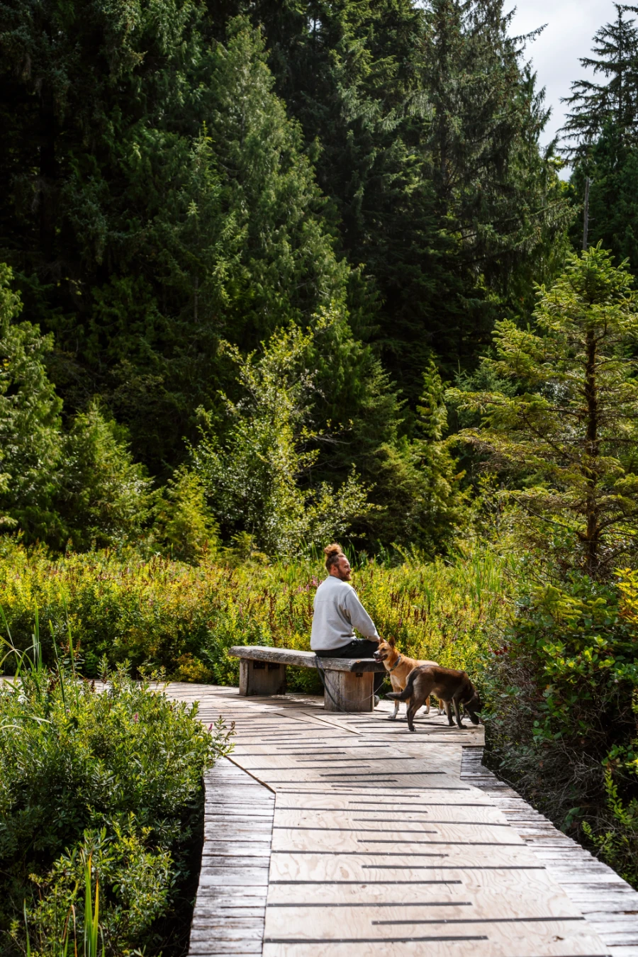 man with his two dogs sits on a bench along a tree-lined board walk that circles Killarney Lake
