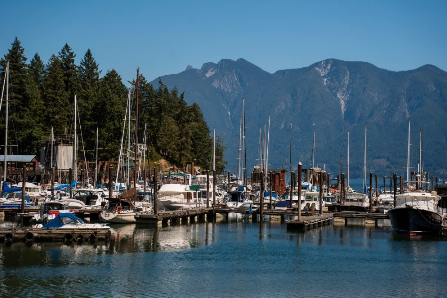 dozens of boats docked in the Bowen Island marina