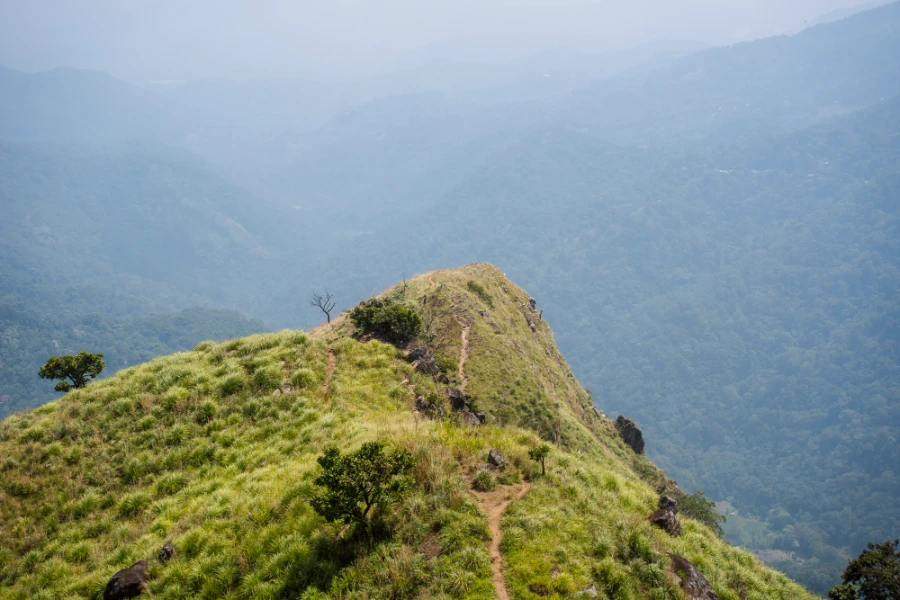 A thin dirt path leads towards Adam's Peak in Ella