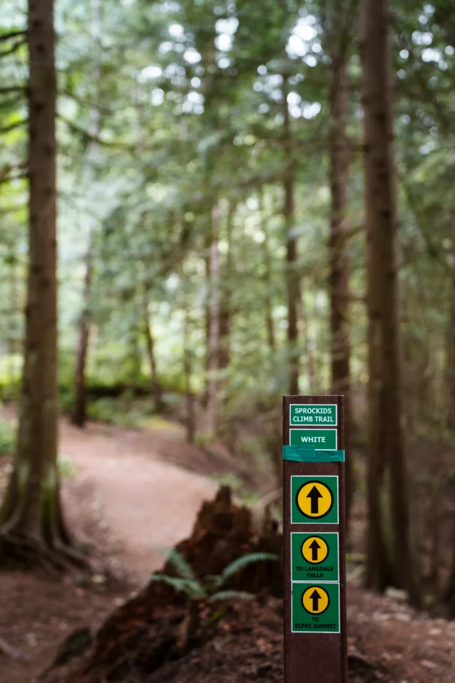 A trail sign at the trailhead of the Langdale falls hike that points the way to the falls as well as several bike paths