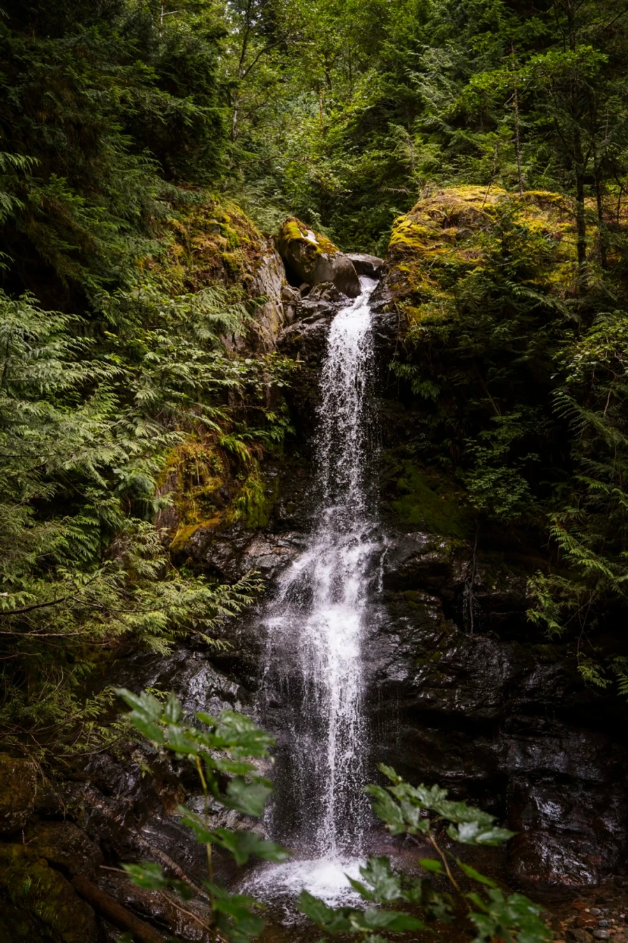 Langdale falls pouring over mossy rocks and falling around 30 feet into a small pool below