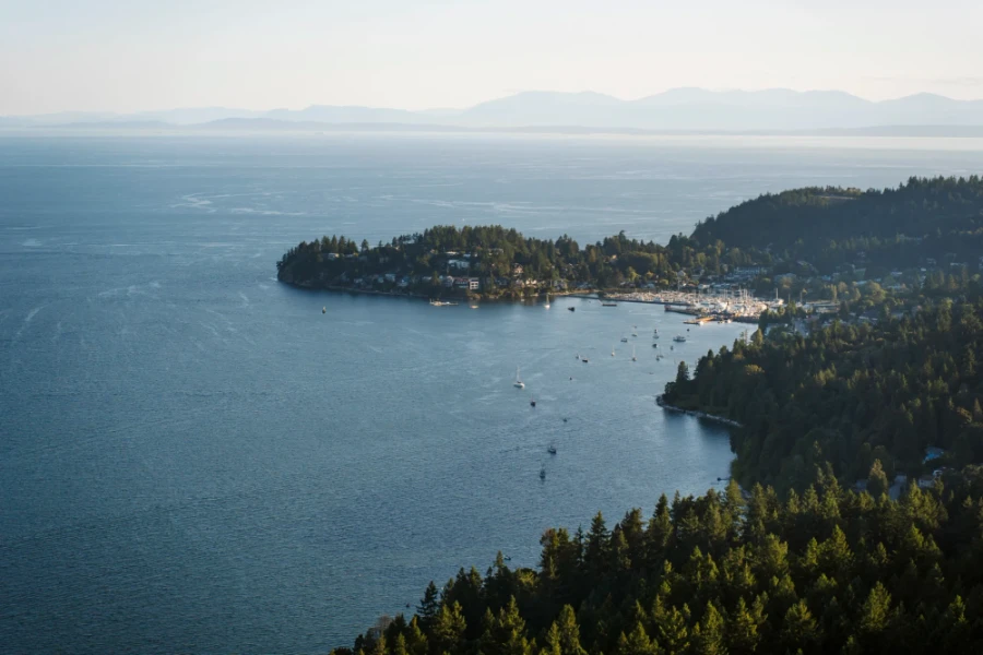 Gibsons harbour viewed from Soames Hill