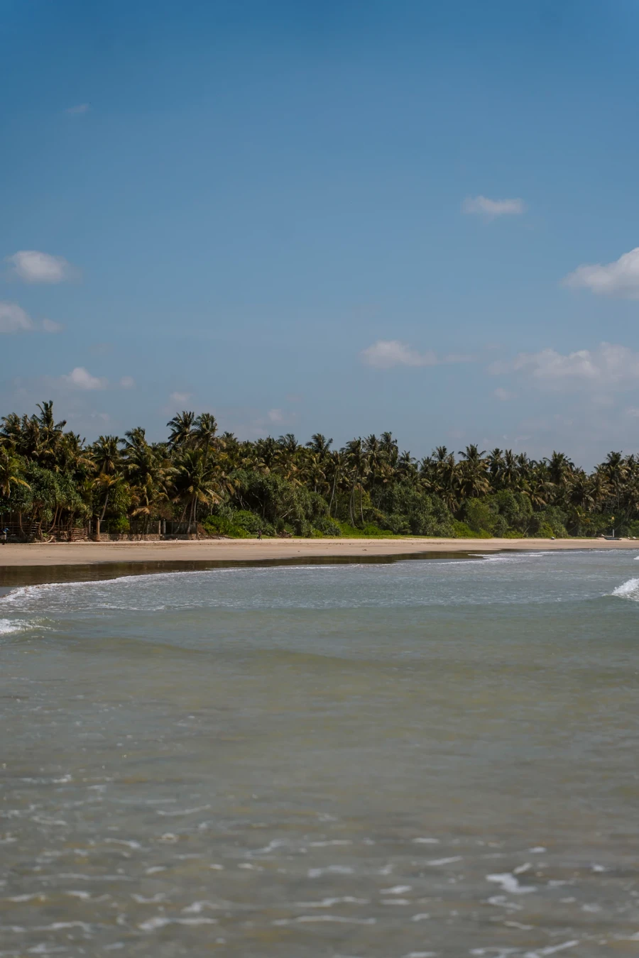 Dozens of palm trees line the white sandy shore of Kudawella Beach