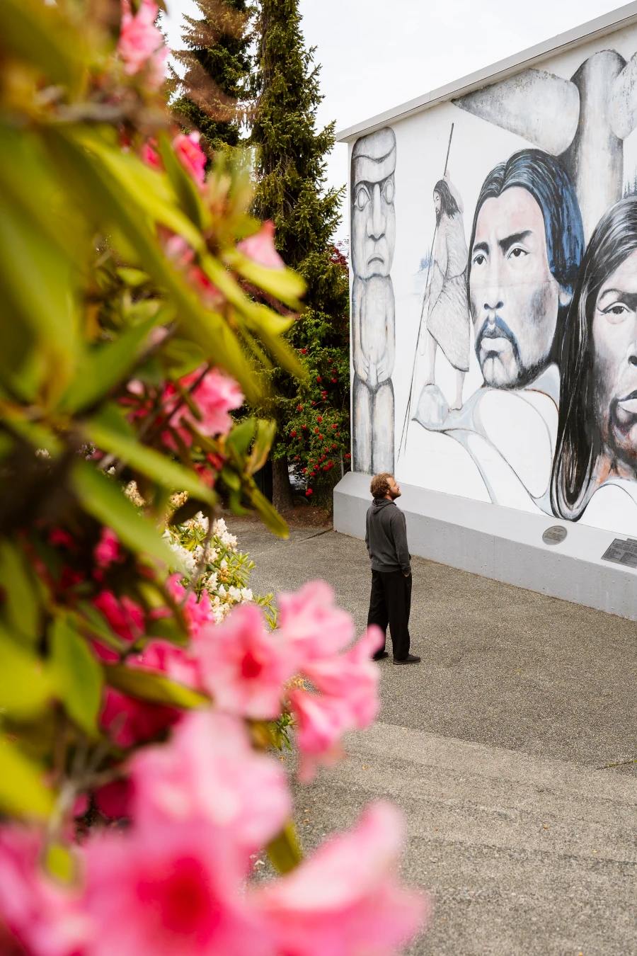 Framed by pink flowers, a man in the distance looks up at a mural drawn on the side of a building in Chemainus