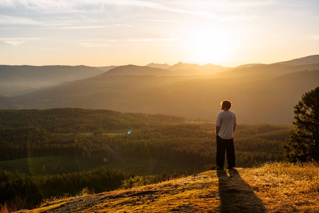10 Best Things to Do in the Cowichan Valley: A 2026 Guide