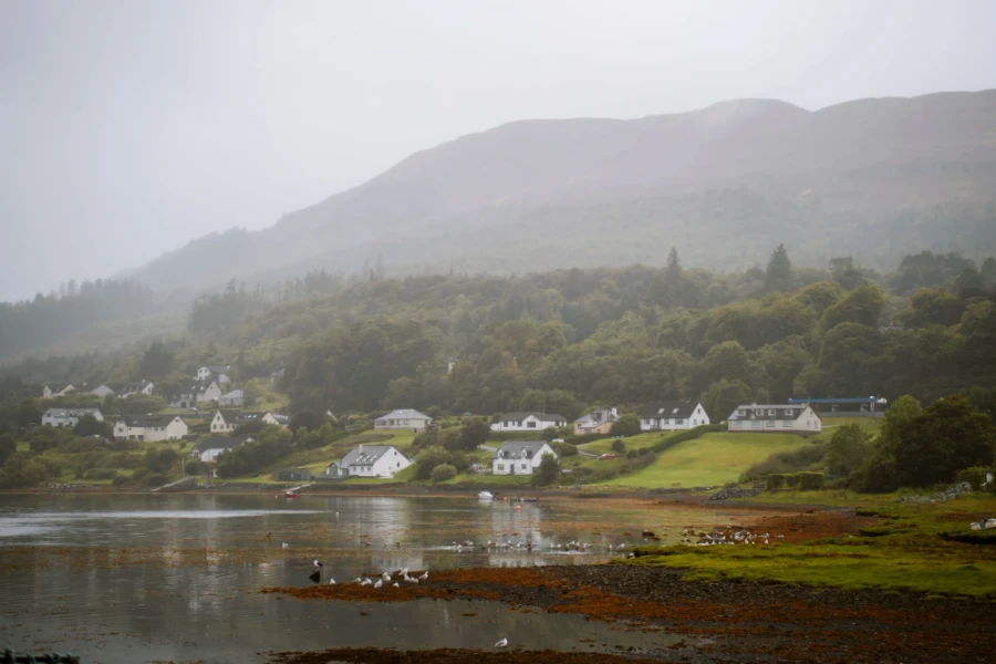 Dozens of sea birds gather in front of a collection of misty cottages on The Isle of Skye, Scotland.