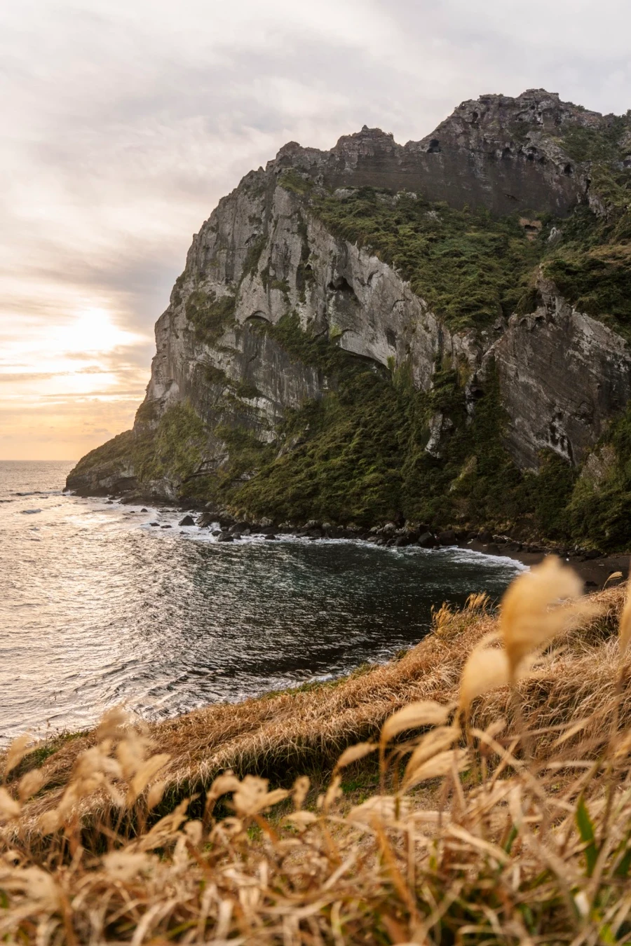 Dry grass blows in the wind below the bare cliffs of Seongsan Ilchulbong (Sunrise Peak)