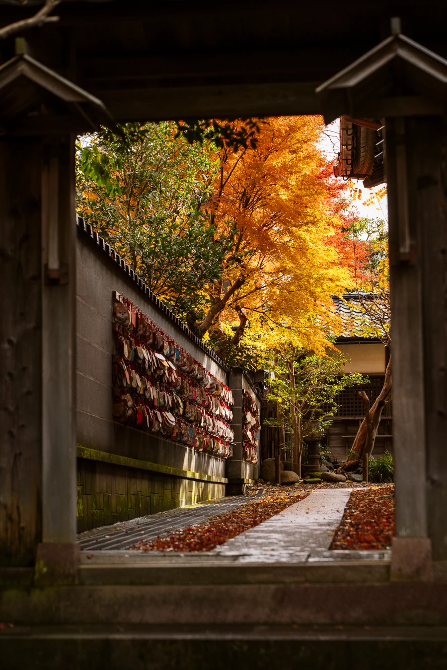 Image related to things to do kanazawa