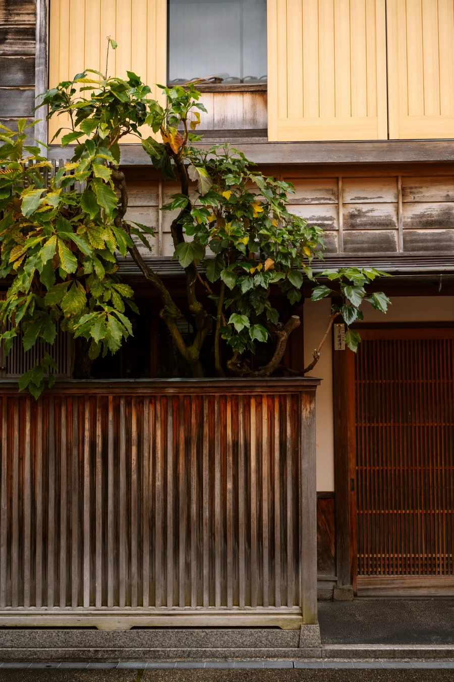 Wooden door along the streets of Kazuemachi Chaya District