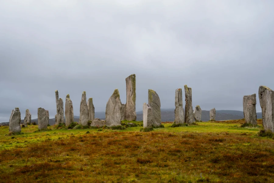 Several odd looking stones sticking up unnaturally from the ground at the site called Calanais Standing Stones
