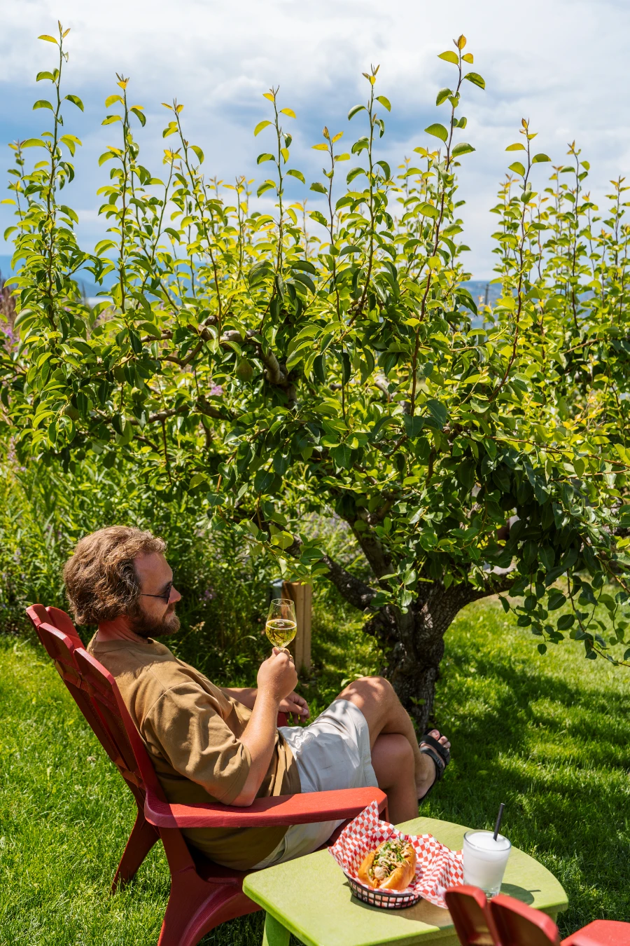 A man sits in a red Muskoka chair in an orchard holding a glass of white wine next to a table with a hot dog and wine slushie on it.