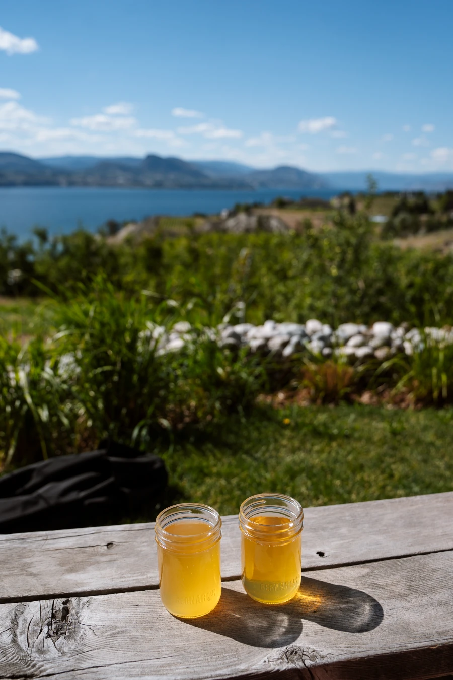 Two glasses of cider sitting on a wooden table with a lush orchard stretching behind them all the way to a large blue lake