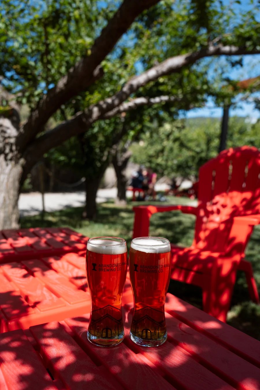 Two full pints of beer in glasses set on a plastic red table surrounded by plastic red Muskoka chairs, all shaded by low-hanging branches of a large tree