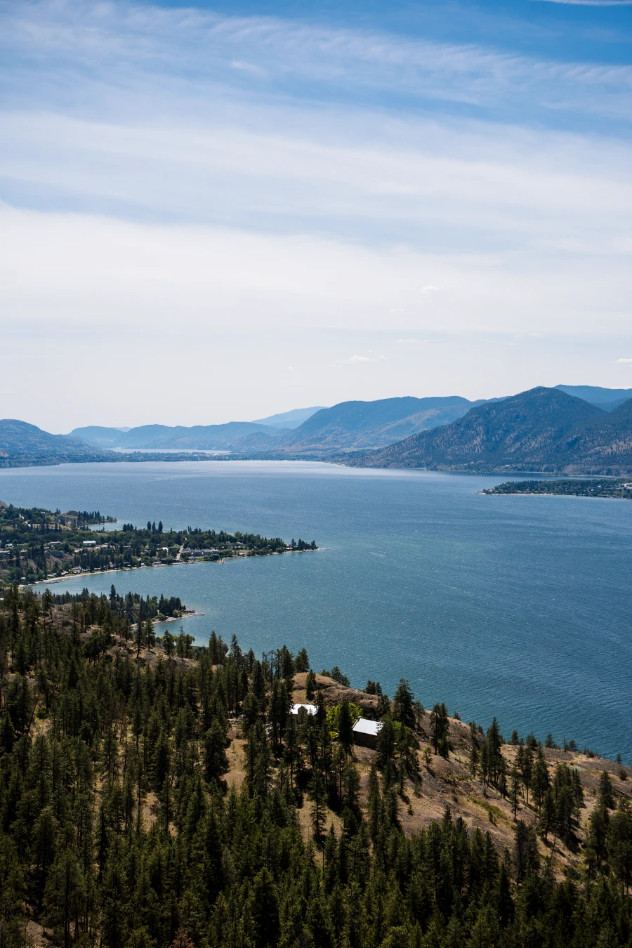 The Naramata Bench and its forest and vineyards stretch off into the horizon on the left next to the long and deep blue of Okanagan Lake.