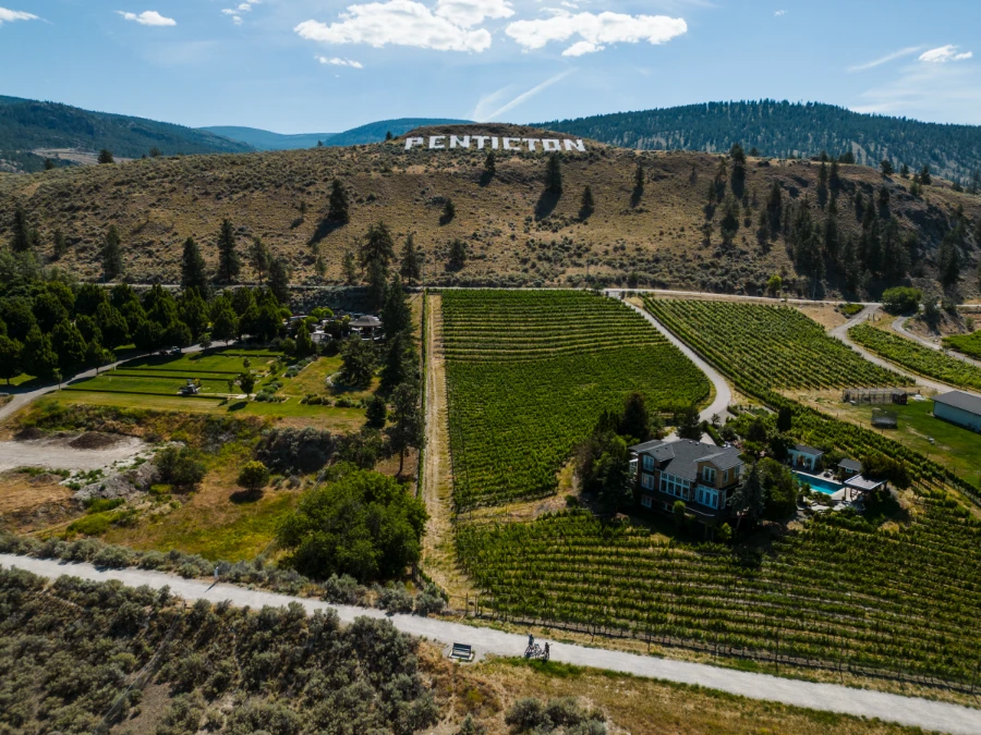 Massive white letters laid into the face of Mount Munson read ‘Penticton ’, and below the mountain are several different vineyards and Orchards.