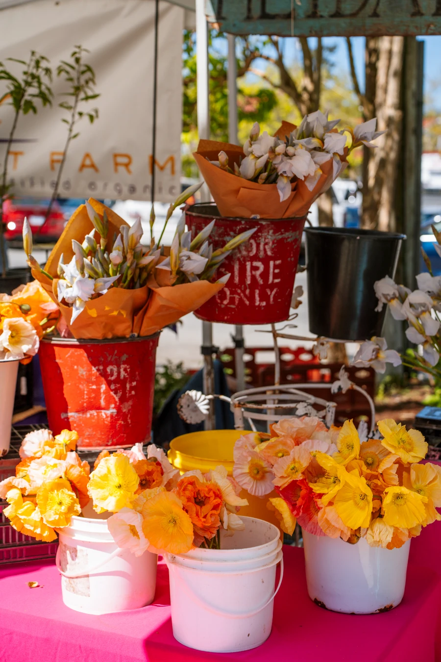 An aragement of multi colored flowers set up at the Salt Spring Island farmers market