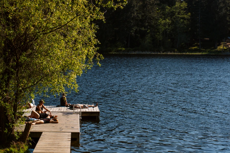 Several people in bathing suits lounging in the sun on a wooden dock on Cusheon Lake