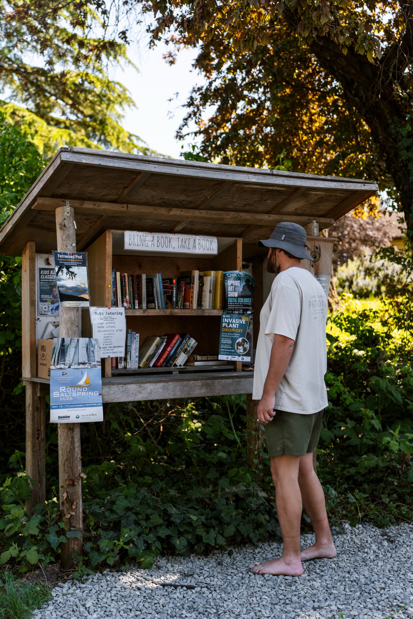 18 Best Things to Do on Salt Spring Island, BC (2026 Guide)