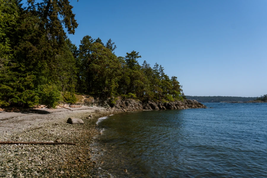 A rocky beach surrounded by calm waters and a lush treeline on Salt Spring Island
