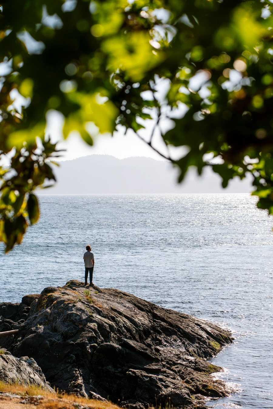 A man stands on a rocky outcrop looking out to the glistening water near Ruckle Provincial Park