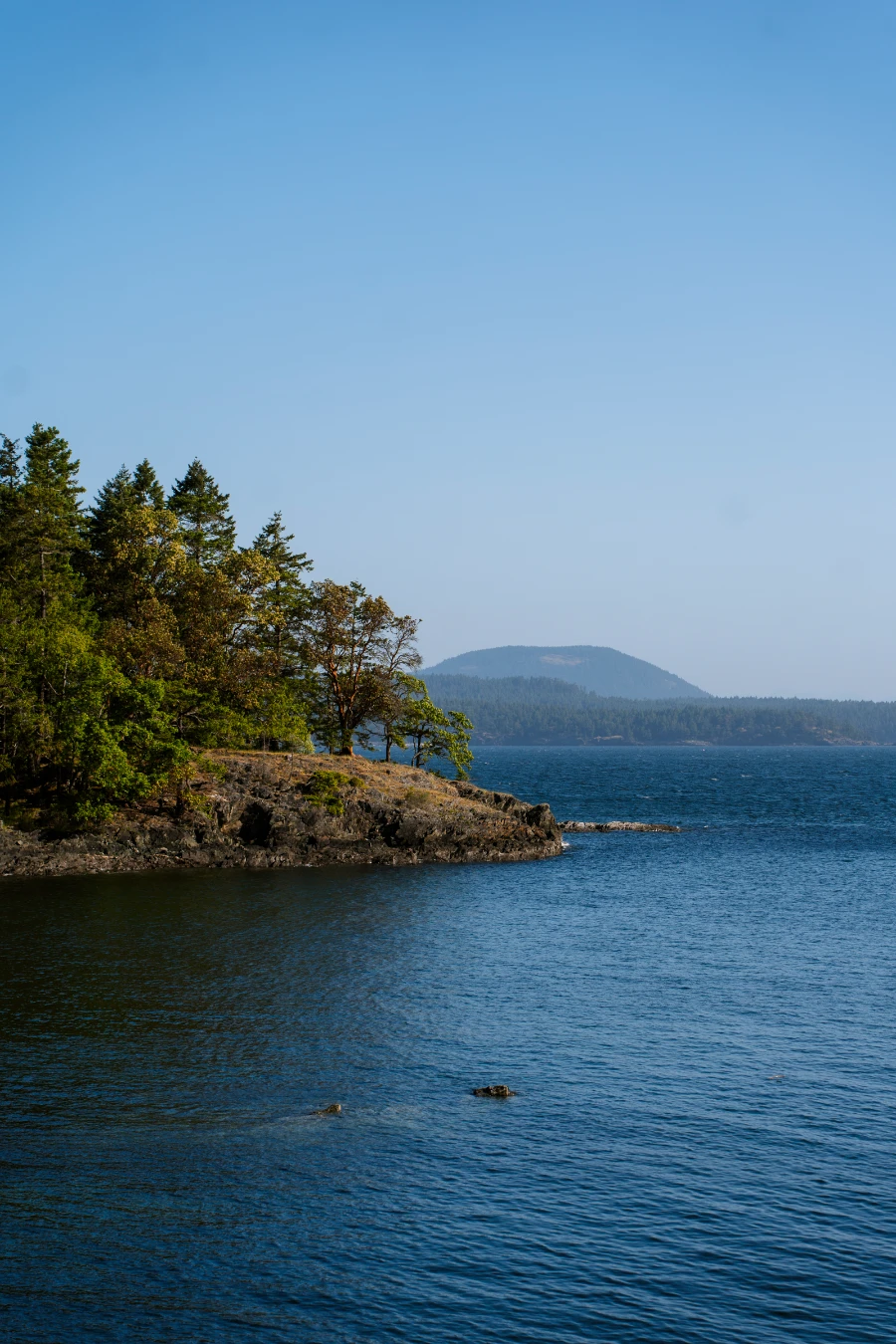 Calm water surrounds a rocky outcrop that is covered in trees