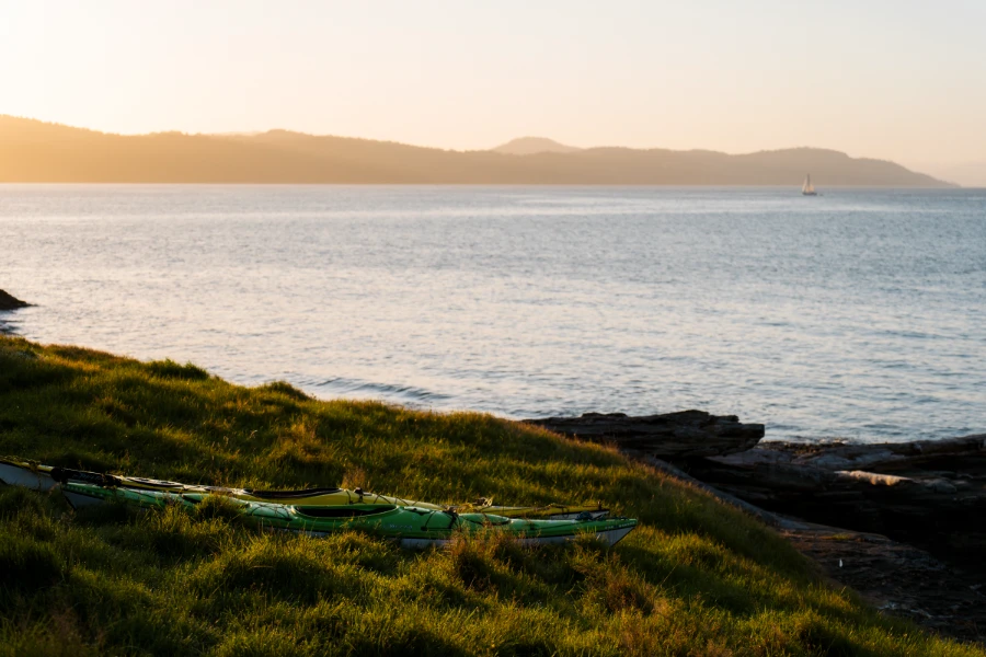 Two sea kayaks lay in the tall grass along the coast of Salt Spring Island