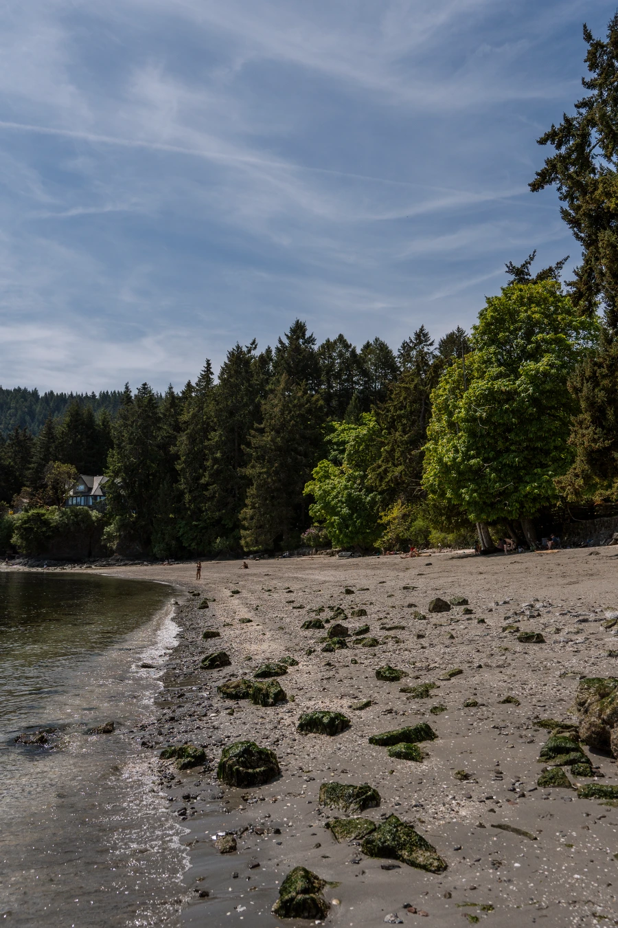 A sandy and rocky beach is bordered by calm water and a thick tree line