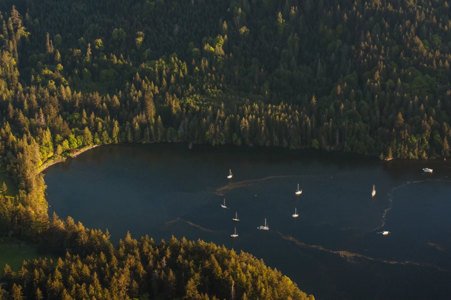 Warm sunset light glows on a densely forested mountain that sits above a deep bay with several sailboats anchored