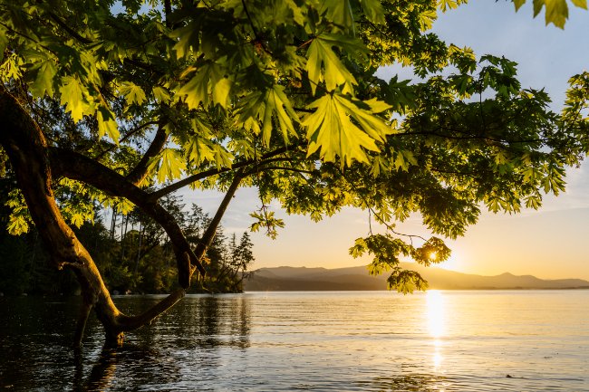 18 Best Things to Do on Salt Spring Island, BC (2026 Guide)